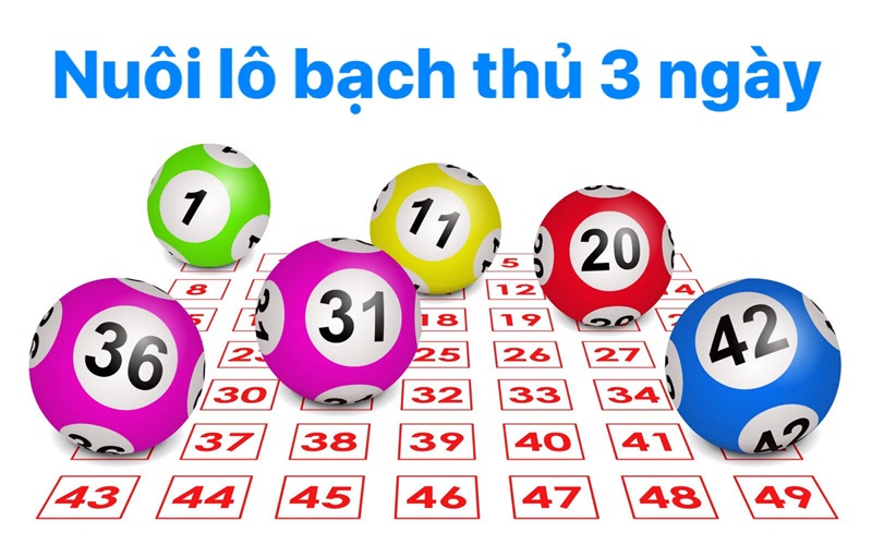 bạch thủ lô khung 3 ngày