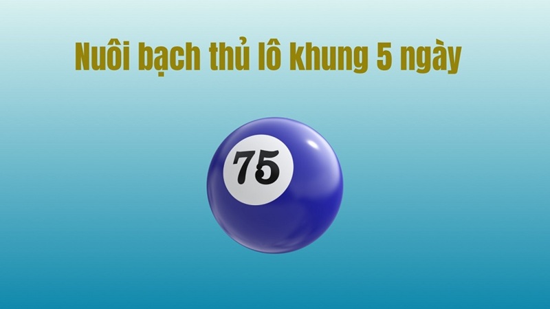 Bạch thủ lô khung 5 ngày