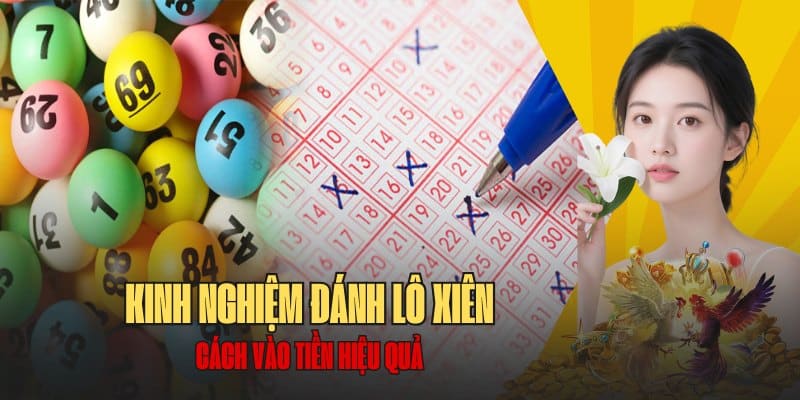 Kinh nghiệm đánh lô xiên rồng bạch kim chuẩn