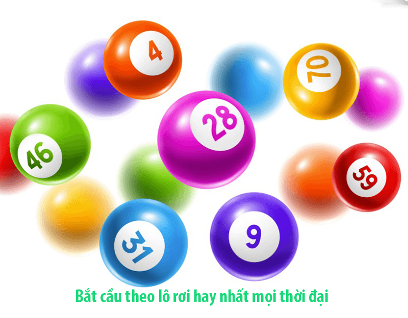Bắt cầu theo lô rơi hay nhất mọi thời đại