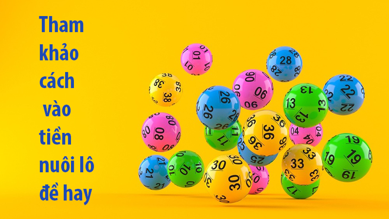 Tham khảo cách vào tiền nuôi lô đề hay