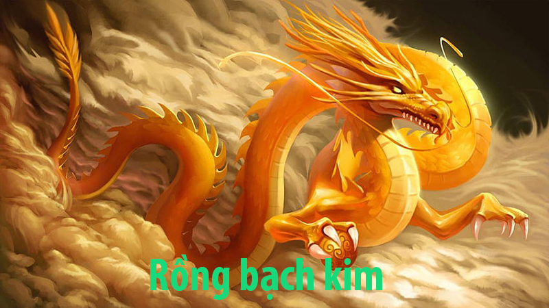 Rồng bạch kim là gì?