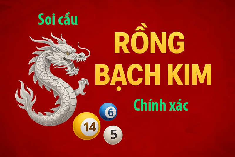 Soi cầu rồng bạch kim chính xác 100